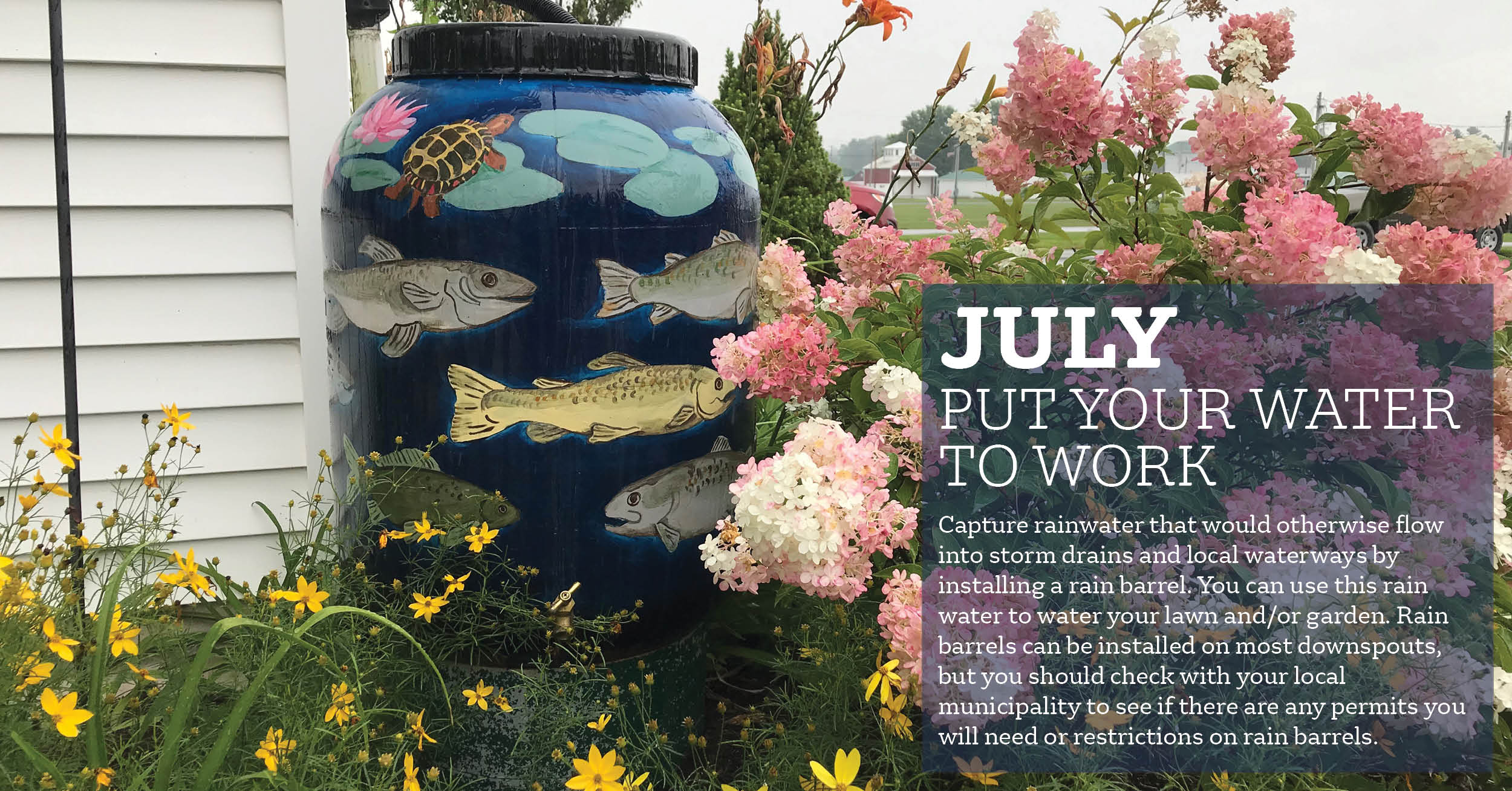 July 2026 Monthly Conservation Tip - Rain Barrels (1)