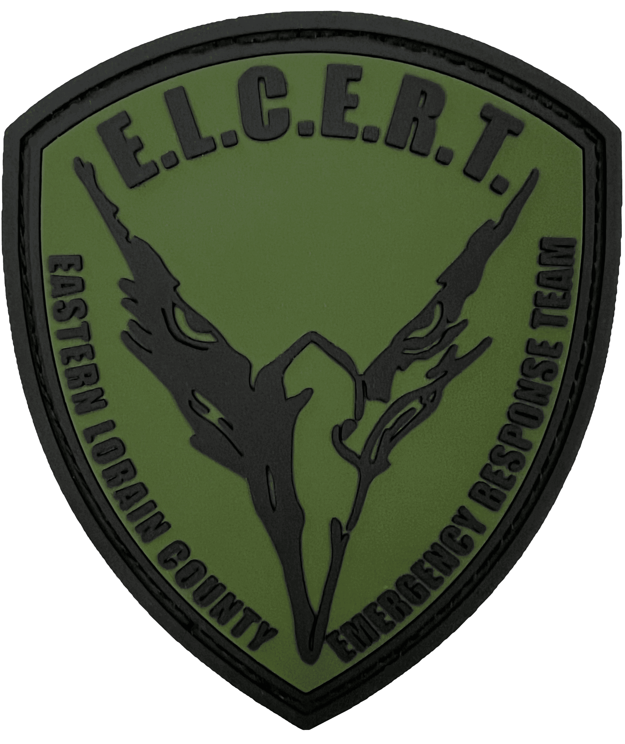 Photo of ELCERT patch